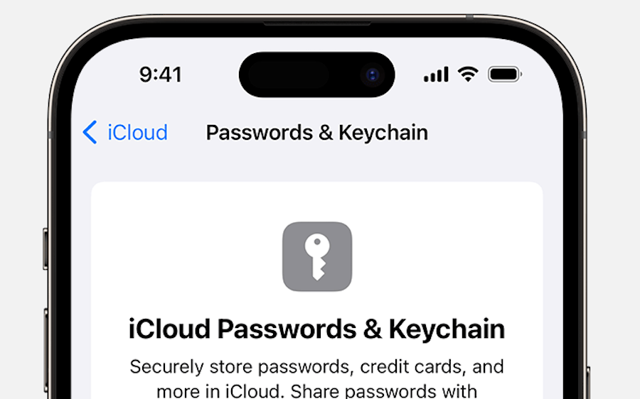 Rumor WWDC: Apple vai anunciar um gestor de passwords próprio?