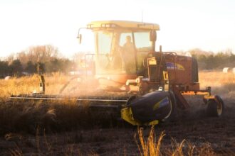 ©Noah Buscher | Agricultura